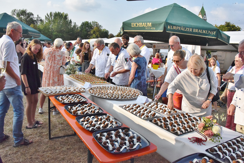 Termine, Veranstaltungen, Neuigkeiten